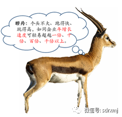 山东瑞祥试块 山东瑞祥试块