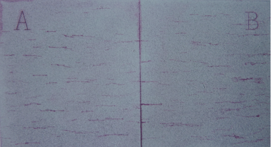 milan米兰体育(中国区)体育官方网站-登录入口司|试块