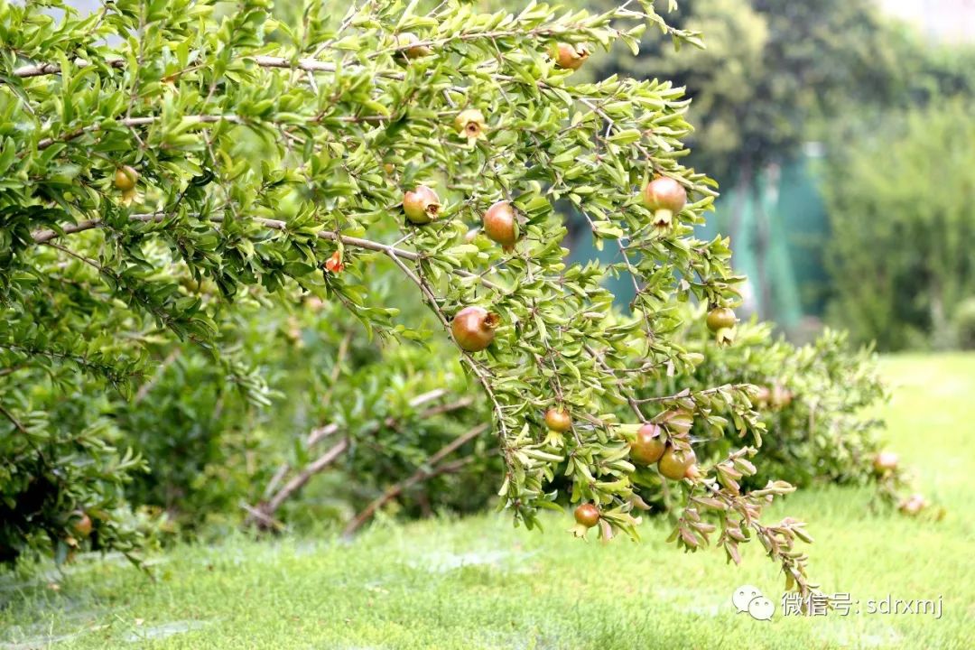 山东瑞祥试块 山东瑞祥试块