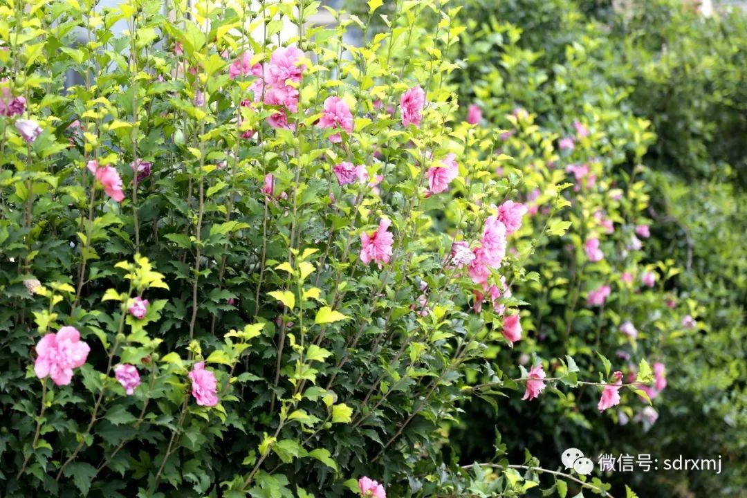 山东瑞祥试块 山东瑞祥试块